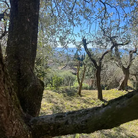 Ca Bottura Agli Ulivi Villa *