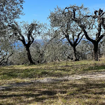 Ca Bottura Agli Ulivi Villa Bardolino