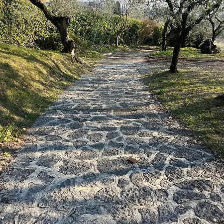 Ca Bottura Agli Ulivi * Bardolino