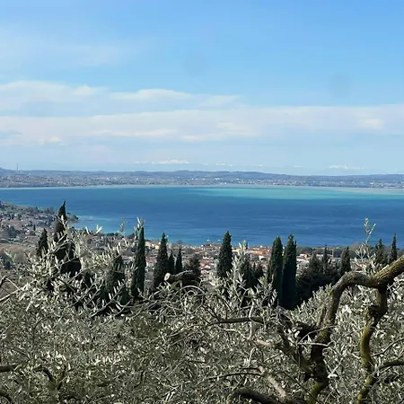 Ca Bottura Agli Ulivi