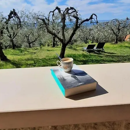 Ca Bottura Agli Ulivi Bardolino