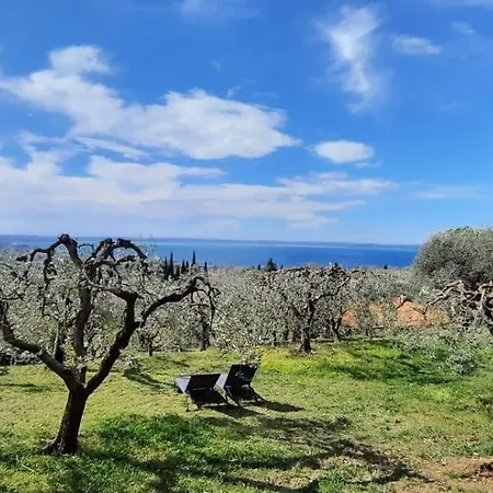Villa Ca Bottura Agli Ulivi *