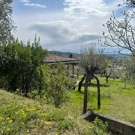 Ca Bottura Agli Ulivi Villa Bardolino