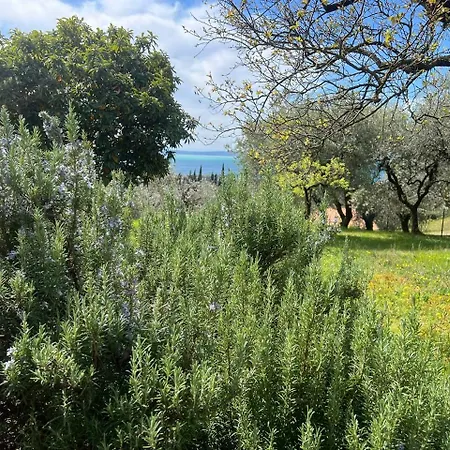 Villa Ca Bottura Agli Ulivi *