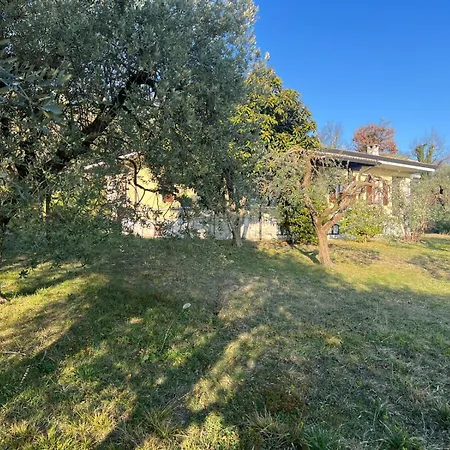 Ca Bottura Agli Ulivi